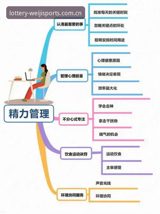 维基体育电脑版使用指南：3种高效玩法与5大功能详解